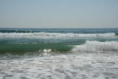 DSC_2531 (Large).JPG